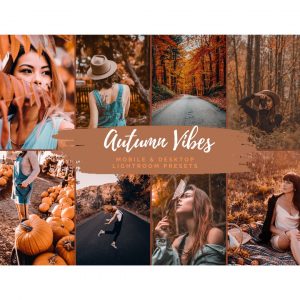 presets lightroom autumn vibes